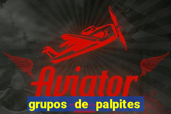 grupos de palpites de futebol whatsapp